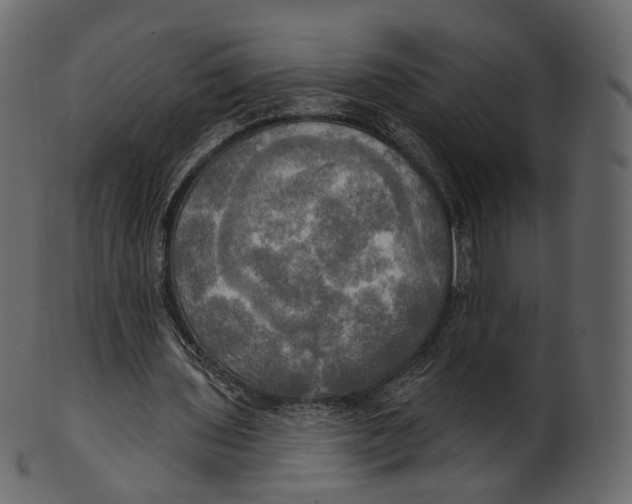 X0000100470435200807031831