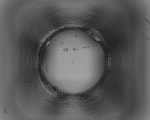 X0000100470436200807031831