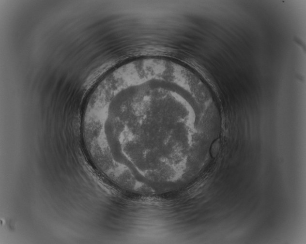 X0000100470437200807031831