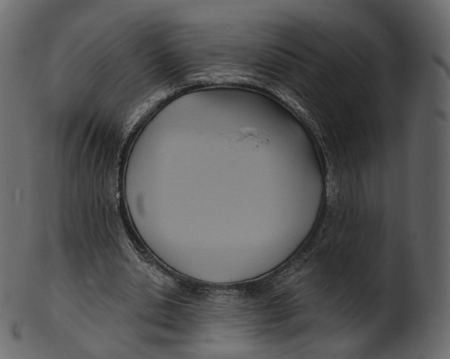 X0000100470438200807031831