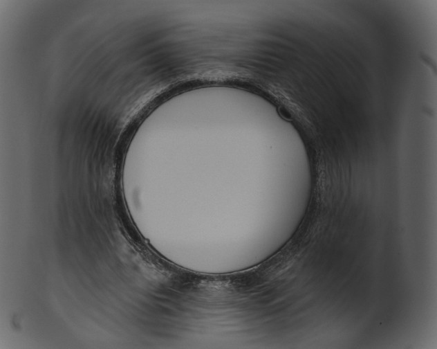 X0000100470440200807031831