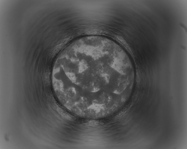 X0000100470441200807031831