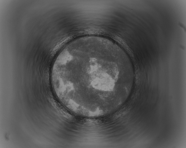 X0000100470442200807031831