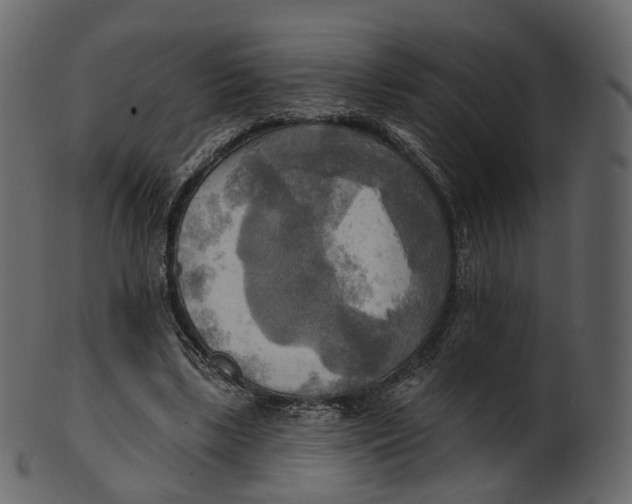 X0000100470443200807031832