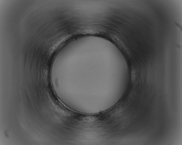 X0000100470444200807031832