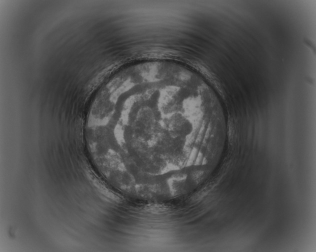 X0000100470445200807031832