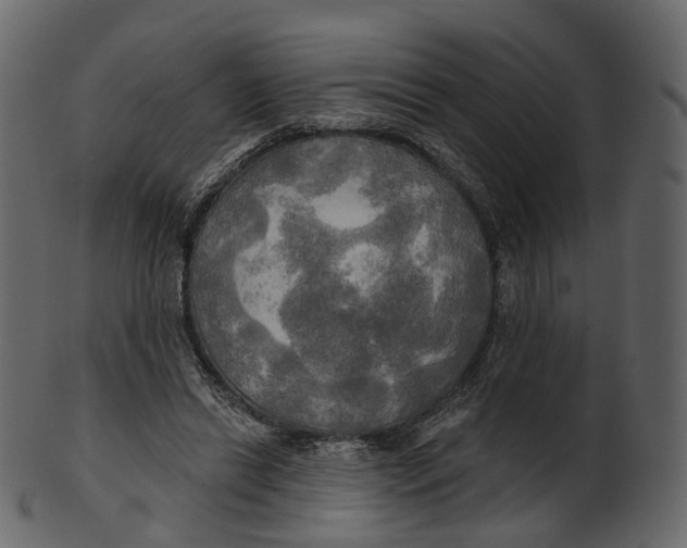 X0000100470446200807031832