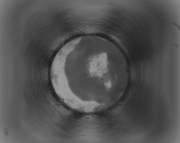 X0000100470447200807031832