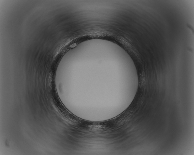 X0000100470448200807031832