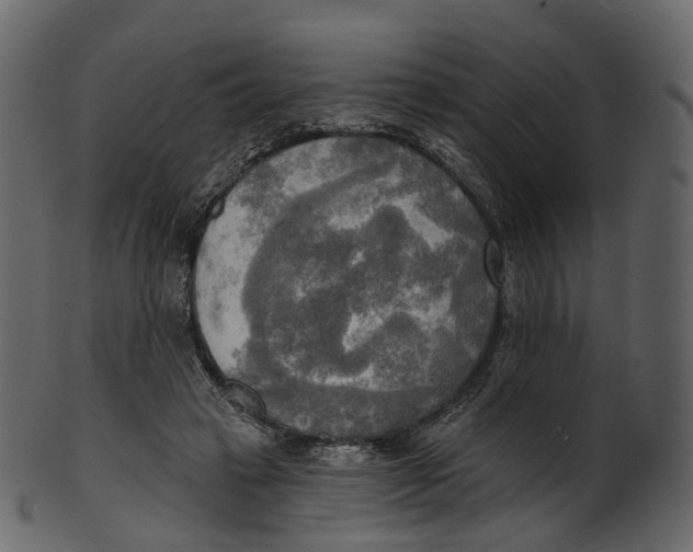 X0000100470449200807031832