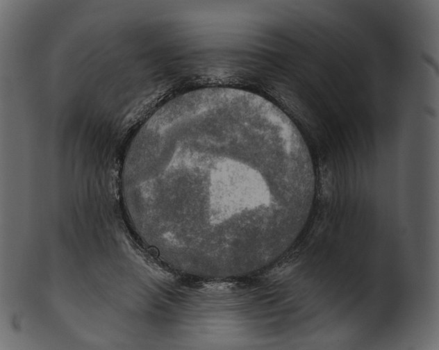 X0000100470450200807031832