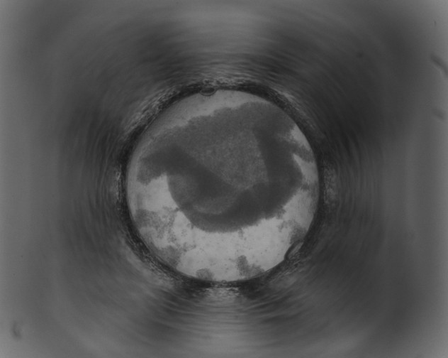 X0000100470451200807031832