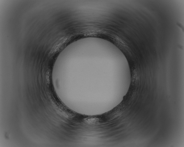 X0000100470452200807031832