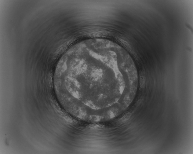 X0000100470453200807031832