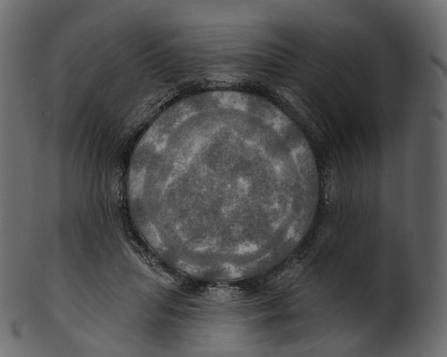 X0000100470455200807031832