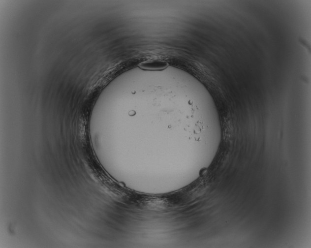 X0000100470456200807031832