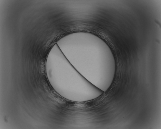 X0000100470457200807031832