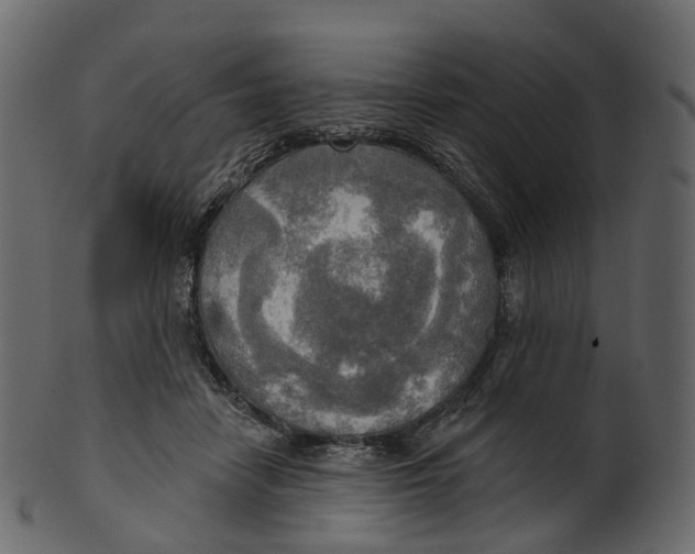 X0000100470458200807031832