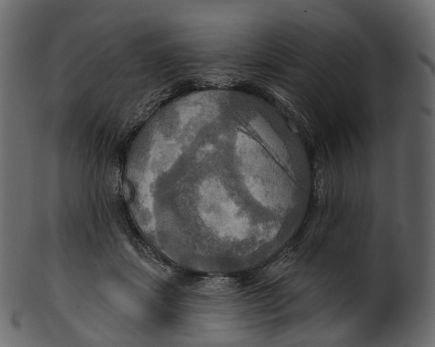 X0000100470459200807031832