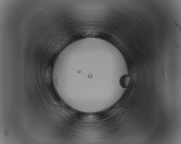 X0000100470460200807031832