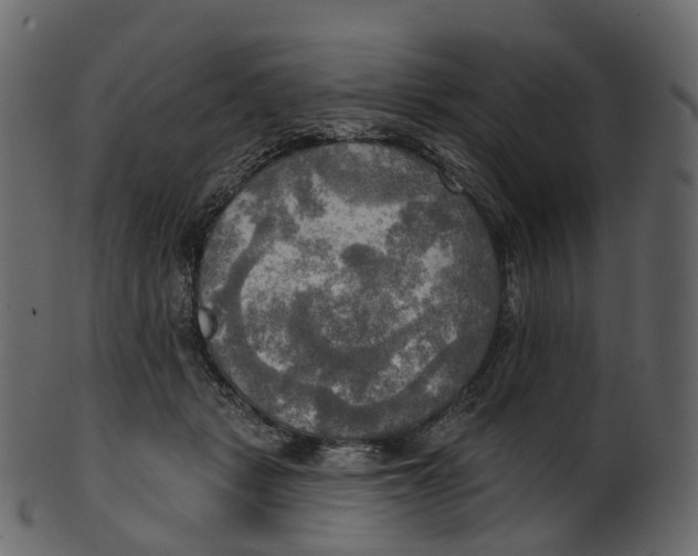 X0000100470461200807031832