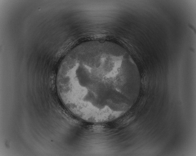 X0000100470462200807031832