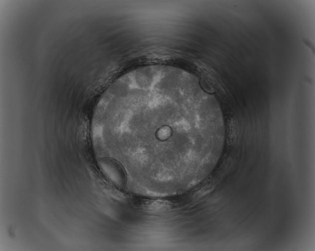 X0000100470463200807031832