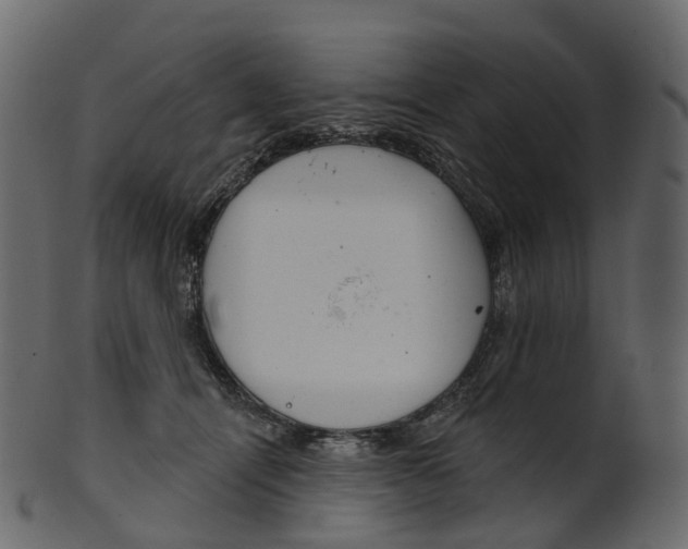 X0000100470464200807031832