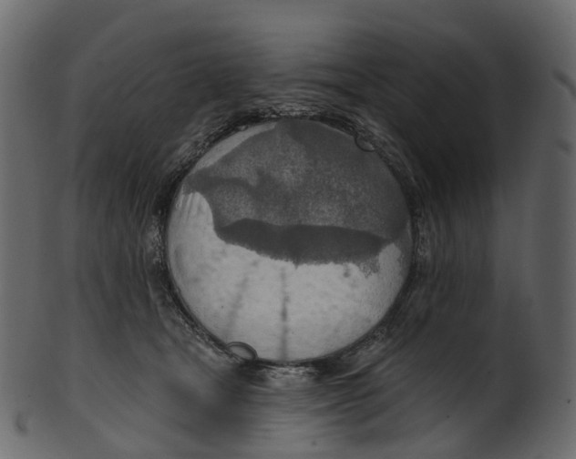 X0000100470465200807031832