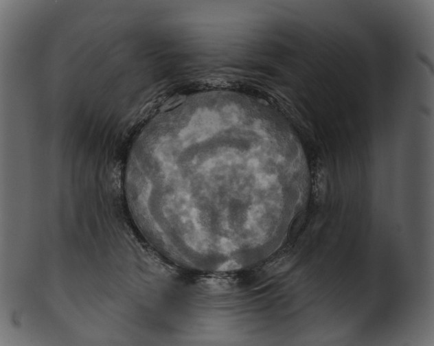 X0000100470466200807031832