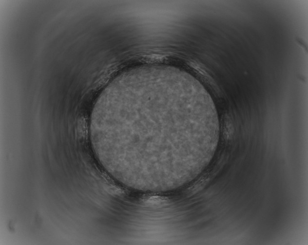 X0000100470467200807031832