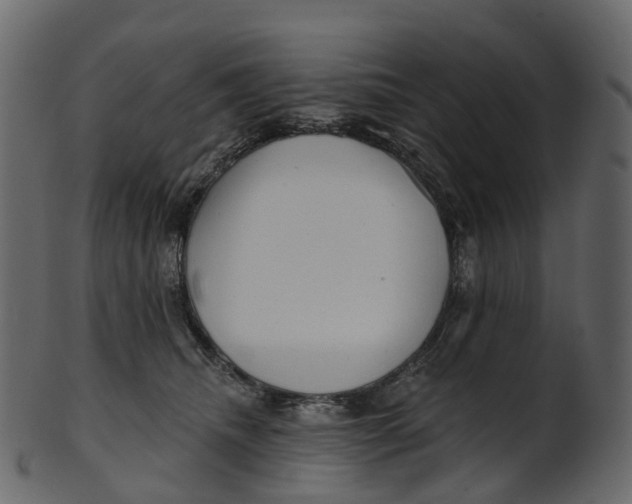 X0000100470468200807031832