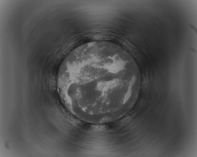 X0000100470469200807031832