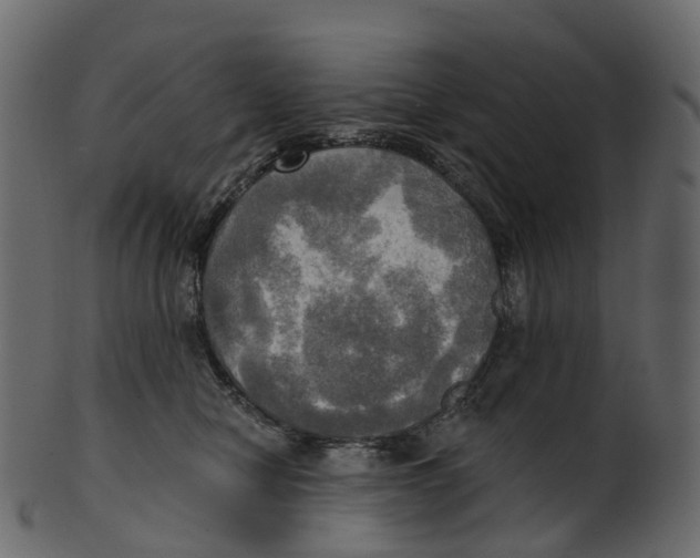 X0000100470470200807031832