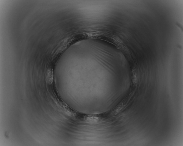 X0000100470471200807031832