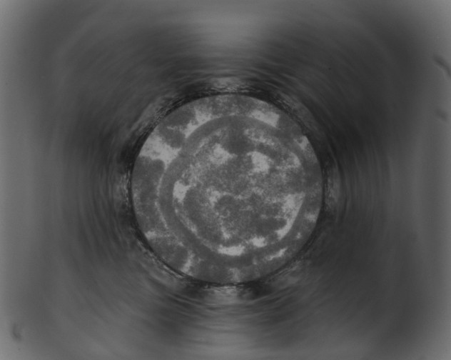 X0000100470473200807031832