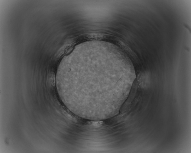 X0000100470474200807031832