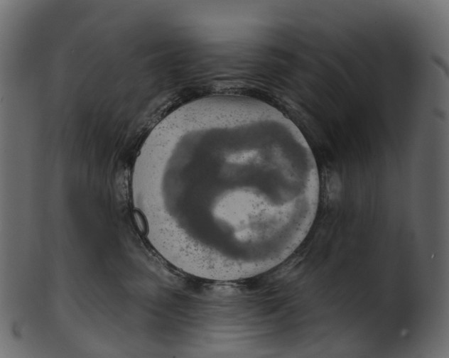 X0000100470475200807031832