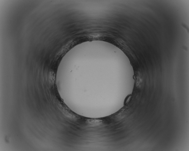 X0000100470476200807031832