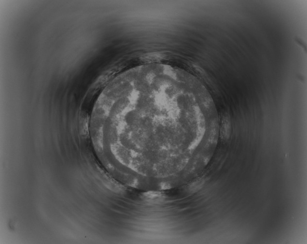 X0000100470477200807031832