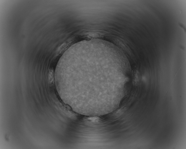 X0000100470478200807031832