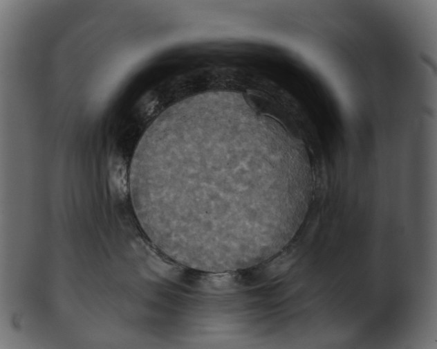 X0000100470479200807031832