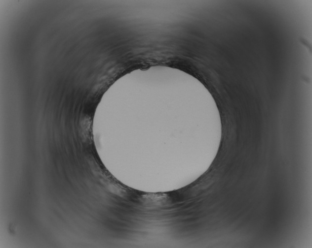 X0000100470480200807031832