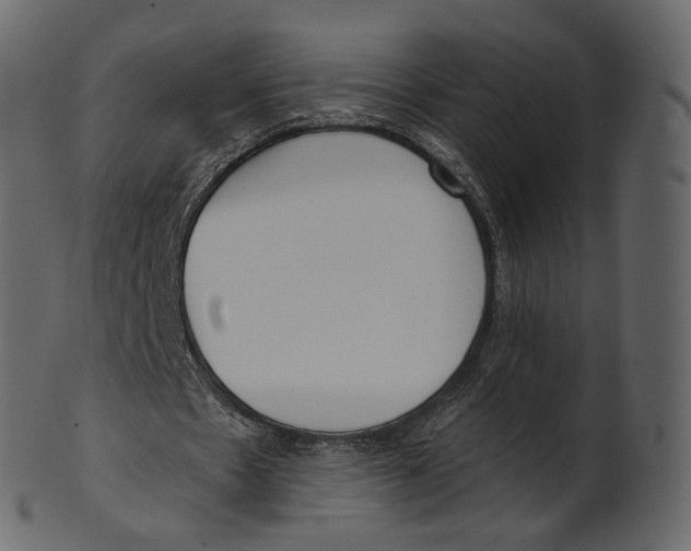 X0000100470481200807031831