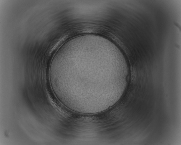 X0000100470482200807031831