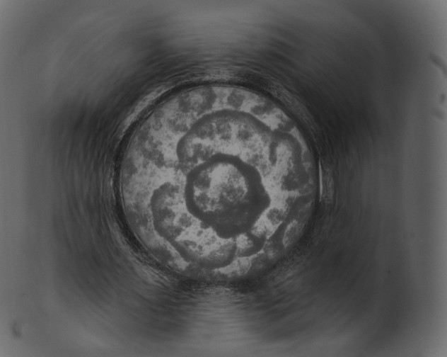 X0000100470483200807031831