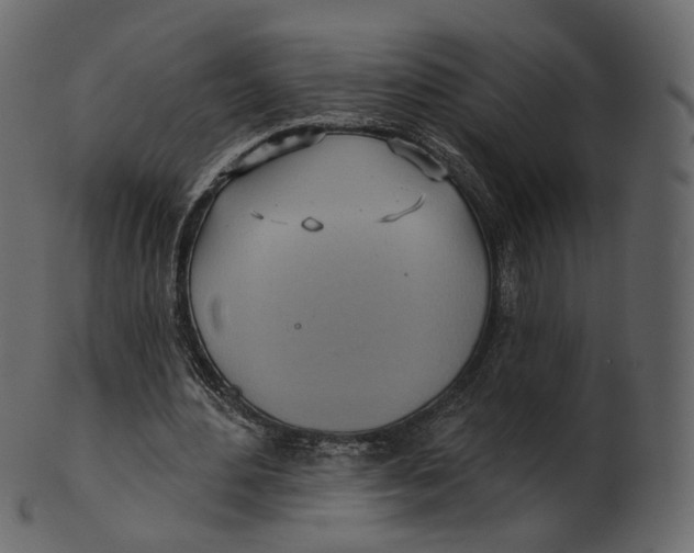 X0000100470484200807031831