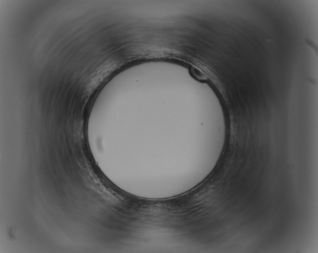 X0000100470485200807031831