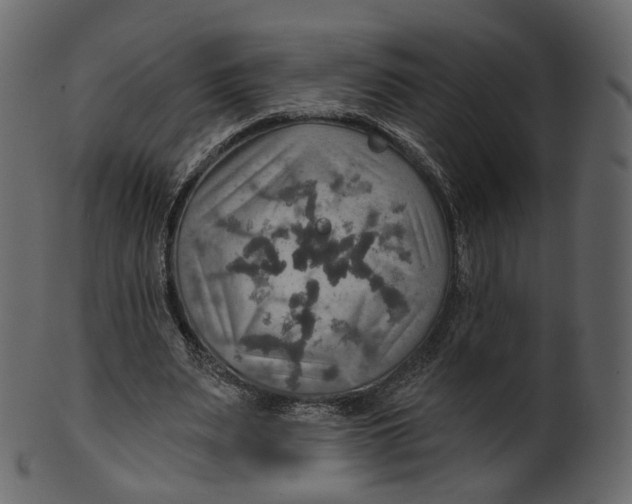 X0000100470487200807031831