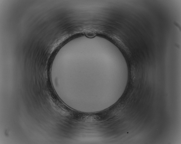 X0000100470488200807031831